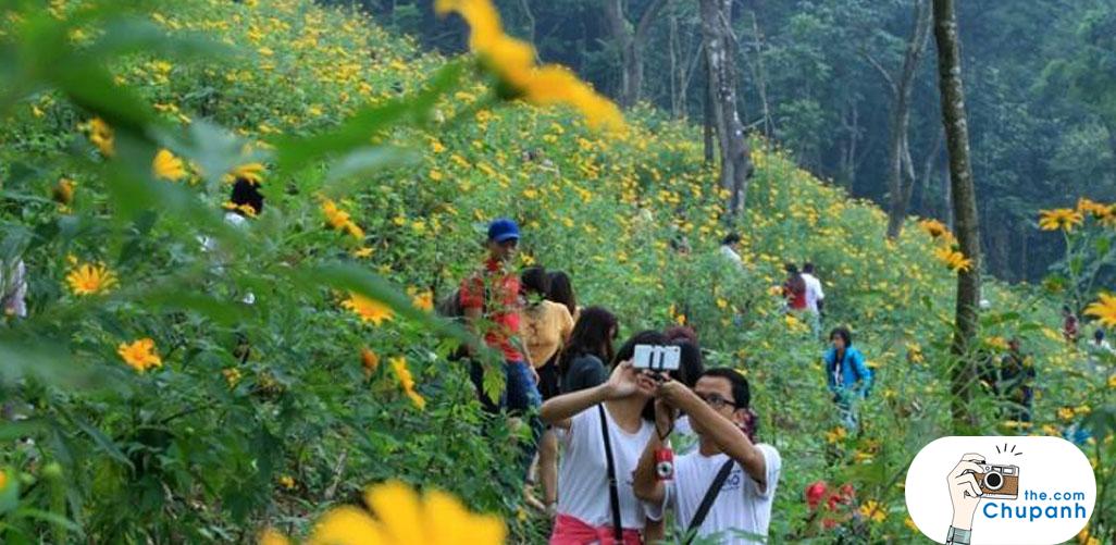 Lưu giữ những bức ảnh tuyệt vời với hoa dã quỳ tại vườn quốc gia Ba Vì