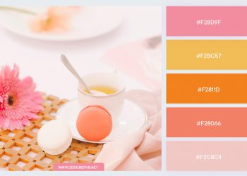 Palette-6.