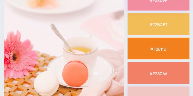 Palette-6.